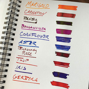 Diamine Flower Cornflower Fountain Pen Ink
