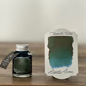Teranishi Guitar Taisho Roman Haikara Ink - Gentle Green
