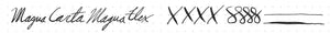 Magna Carta Mag 600 Fountain Pen True Flex Nib 5