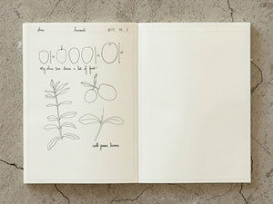 Midori MD Notebook Journal A5 Frame - 192 Pages