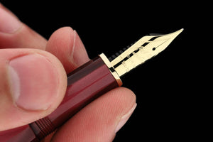 SCRIBO FEEL Fountain Pen - Promessa GT