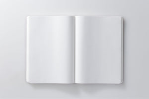 Stalogy 365Days Notebook - A5 - Dot Grid - 368 Pages - Red