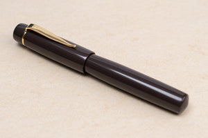 Ulpia 117 Ebonite Fountain Pen - Cafe