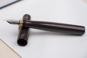 Ulpia 117 Ebonite Fountain Pen - Cafe