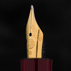 Kaweco Sport Fountain Pen Carmine - Galen Leather SE