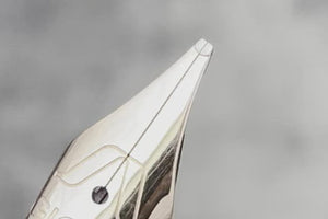 Gioia Alleria Vittoria Fountain Pen Ruthenium Trim