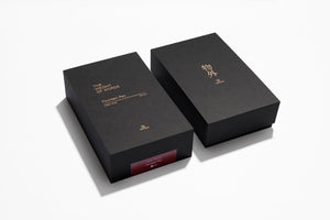 Ystudio Classic Revolve Fountain Pen - Red