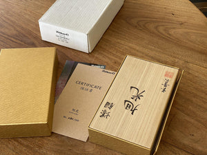 Pelikan Limited Edition M1000 Raden Sunlight